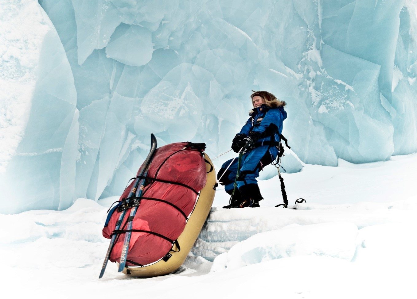 Rosie surrounded by ice and snow, dragging a heavy bag on a sled