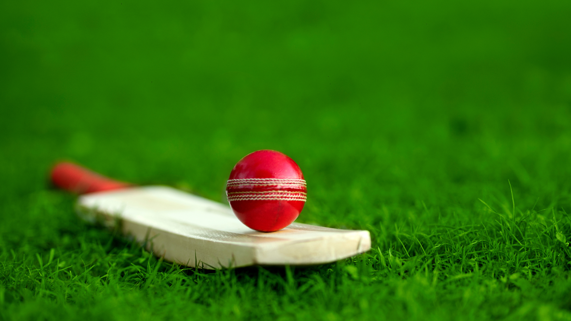 Cricket bat and ball